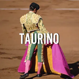 rincon taurino